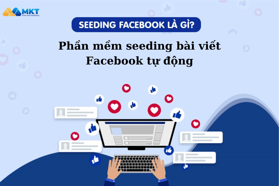 seeding bài viết seeding bài viết
