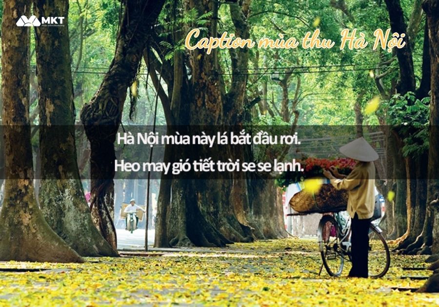 Caption mùa thu Hà Nội